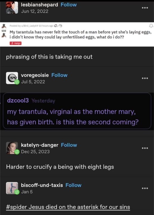 My tarantula gave birth without a man and now people are calling it 'Spider Jesus'. Okay then.