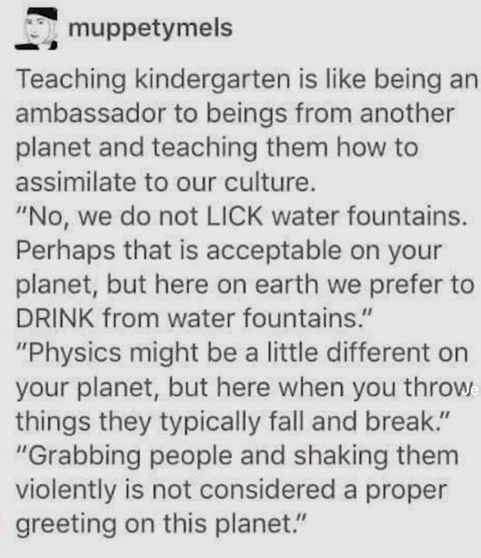 Teaching kindergarten is basically like being an alien ambassador for tiny, dirt-eating aliens who don't understand gravity.
