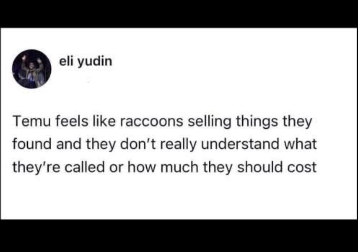 Temu is basically raccoons selling random junk they found and have no idea what it is or what it's worth.
