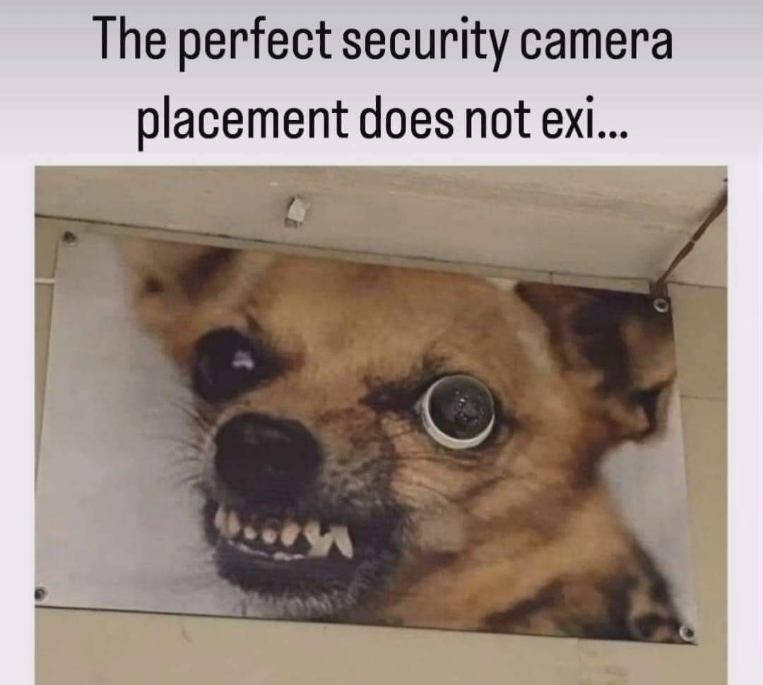 When you realize the only surveillance you have is this terrifying dog billboard