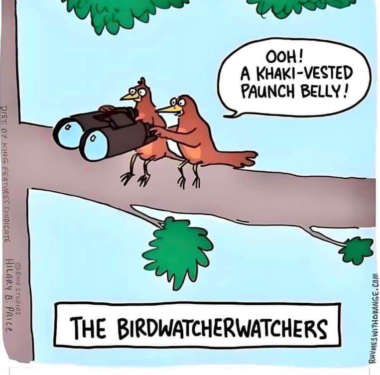 Birds watching other birds who are watching birds. It's like inception but with binoculars.
