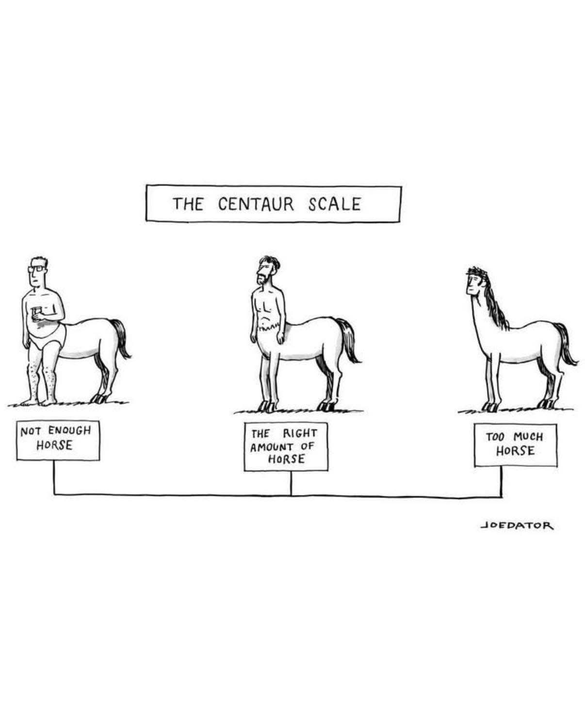 When you can't decide if you want to be more horse or less horse.
