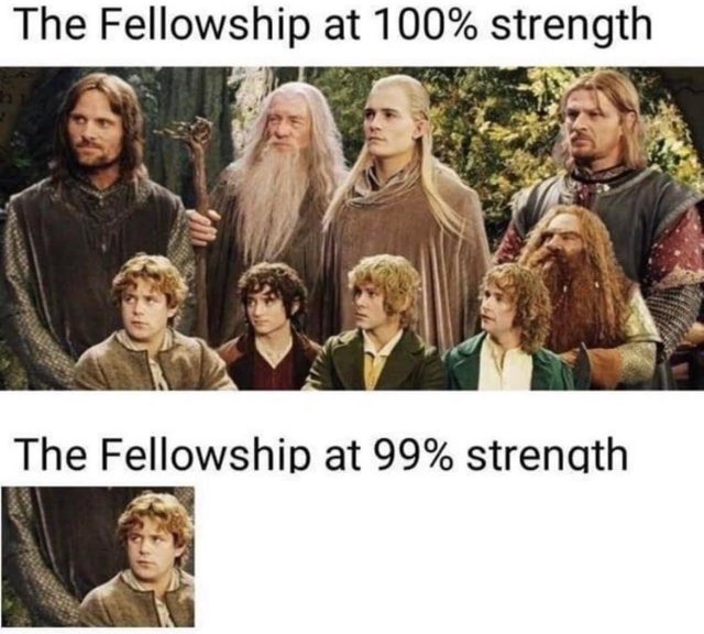 When Boromir is the only hobbit you can see in the 99% version