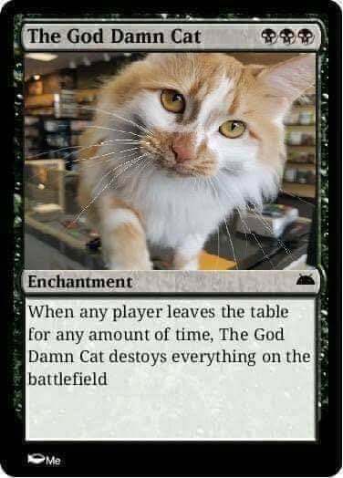 When your cat is the ultimate boss in Magic: The Gathering