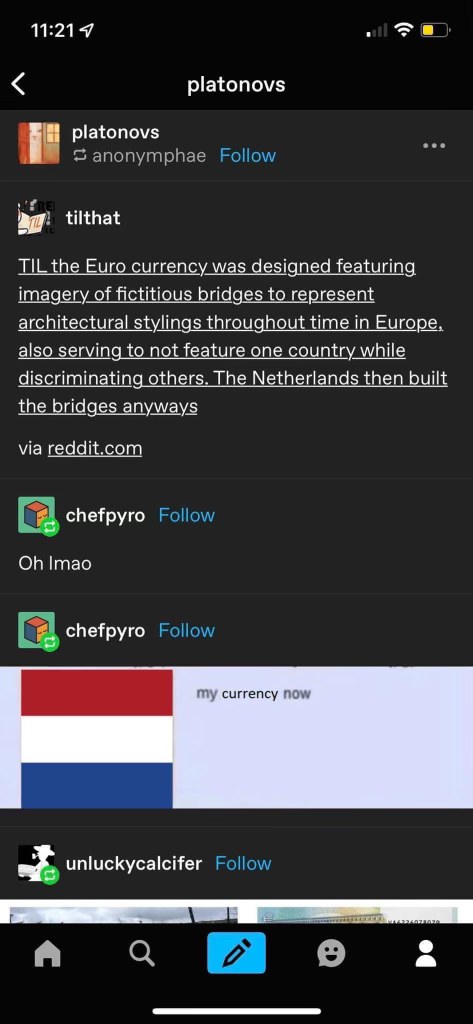 The Netherlands built their own bridges after realizing the Euro currency had fake ones to avoid featuring them lol