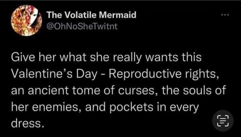 Someone's Valentine's Day wishlist is a bit intense, but I get it.
