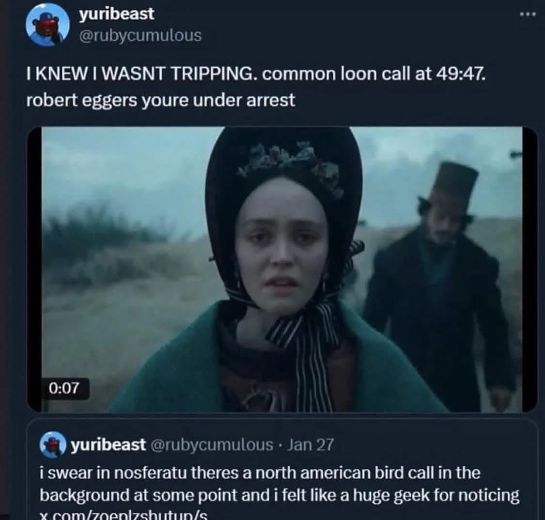 When you're the only one who notices a bird call in a horror movie but the director is Robert Eggers
