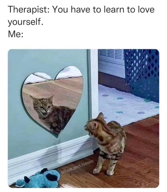 Therapist tells me to love myself, but I see my reflection and... not so much.