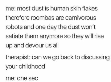 My therapist asking about my childhood while I'm trying to explain how Roombas are going to eat us.