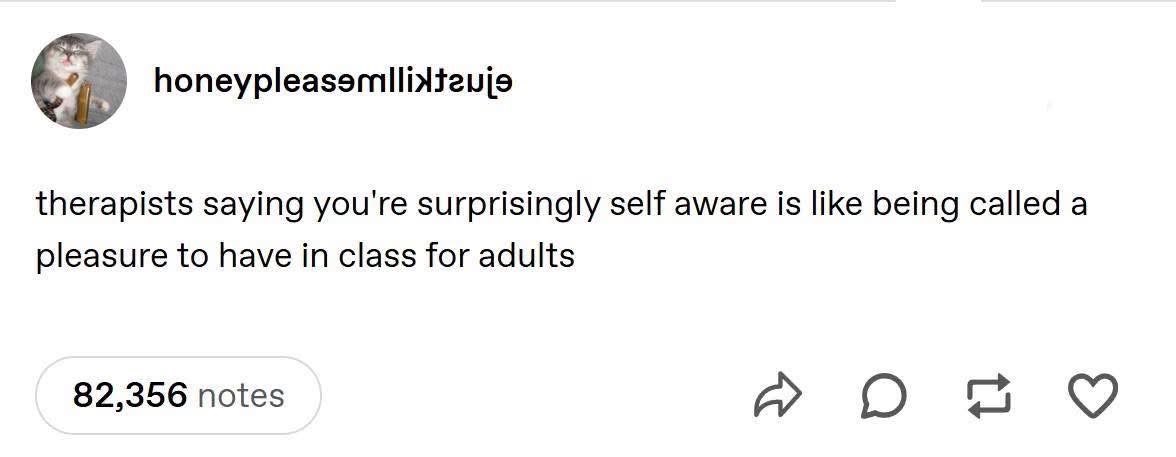 When your therapist tells you you're self-aware and it feels like getting an award for being a functional adult