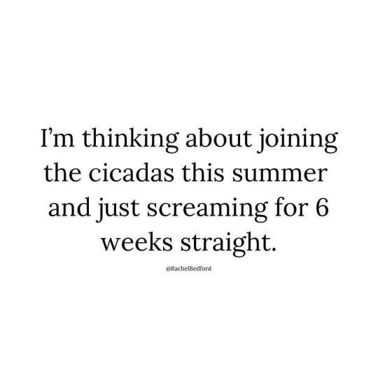 Me considering joining the cicadas and screaming for 6 weeks straight, mood.