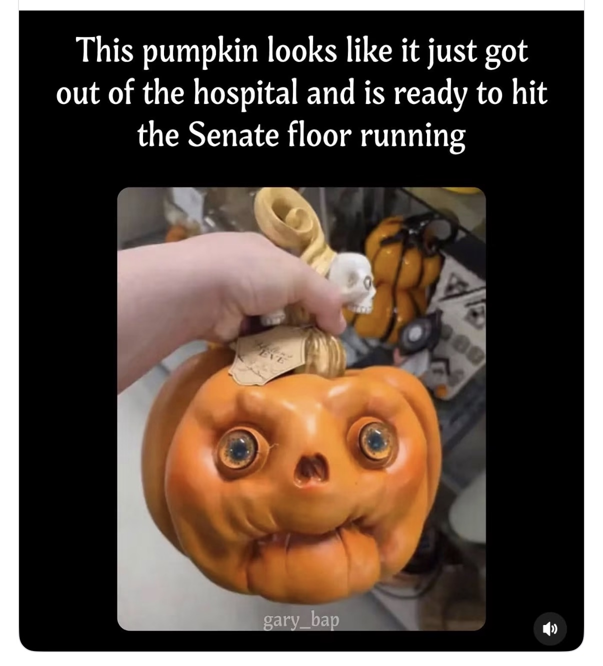 This pumpkin looks like it just got out of the hospital and is ready to hit the Senate floor running
