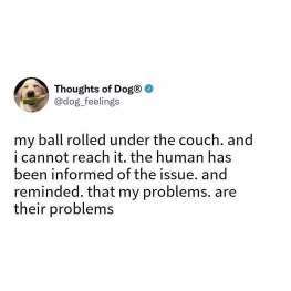 My ball rolled under the couch and I had to remind my human that their problems are my problems.  Update: Still stuck.