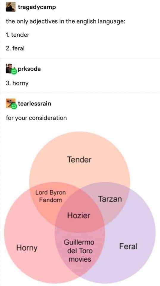When you realize there's only three adjectives and they're all chaotic