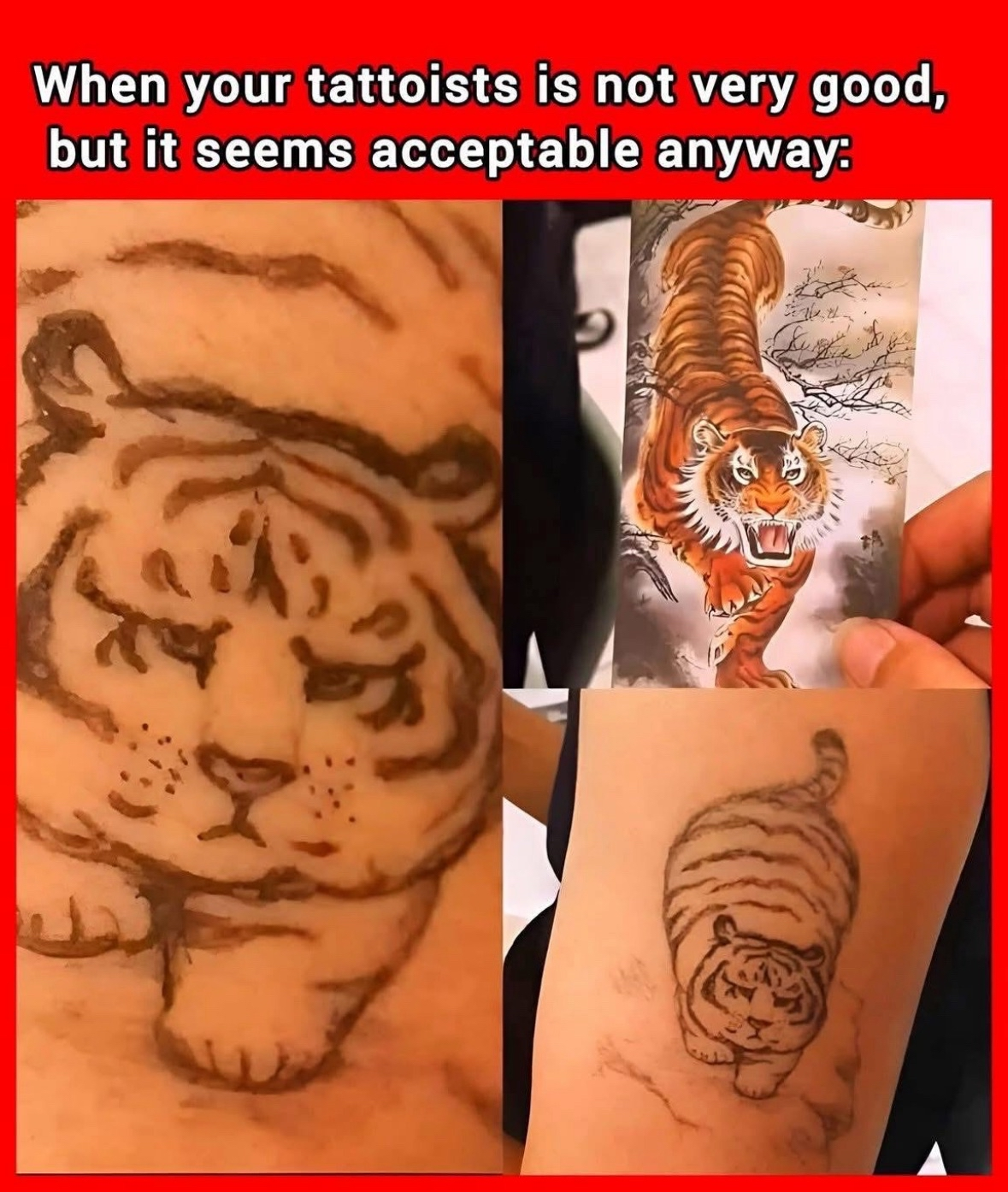 Me showing my tattoo artist the reference pic vs. what I ended up with lol