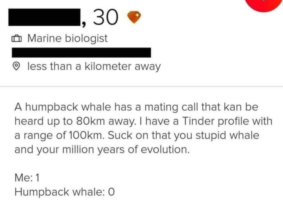 This marine biologist really said "my Tinder range is better than your mating call"