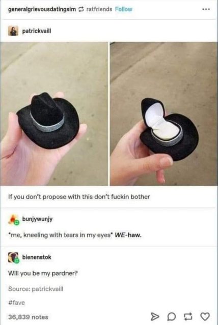 Everyone deserves a proposal that comes with a tiny cowboy hat.