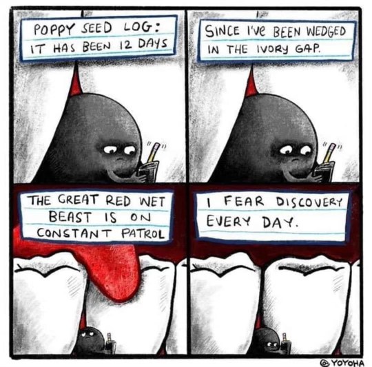 When you finally get that poppy seed out of your teeth but then realize it's attached to something way worse