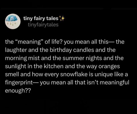 Someone asked for the meaning of life and this is the aesthetic answer I'm giving them