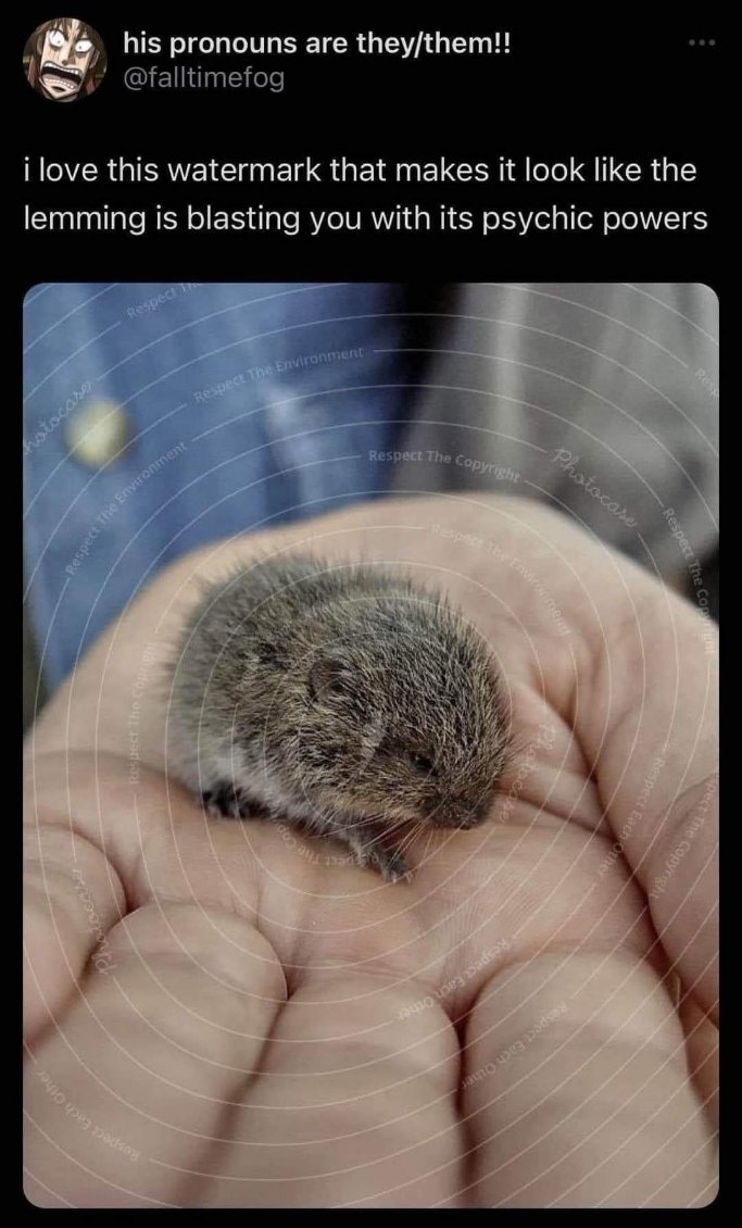 When the tiny hamster is about to unleash its psychic powers on you.