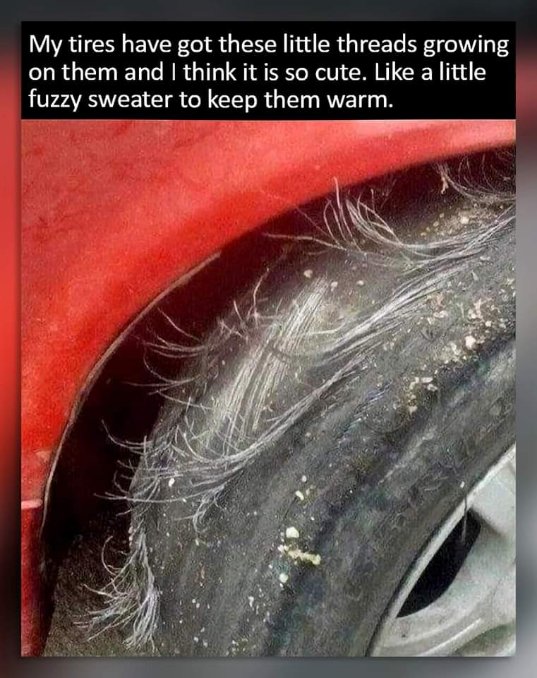 Me seeing exposed tire threads and thinking they're little fuzzy sweaters