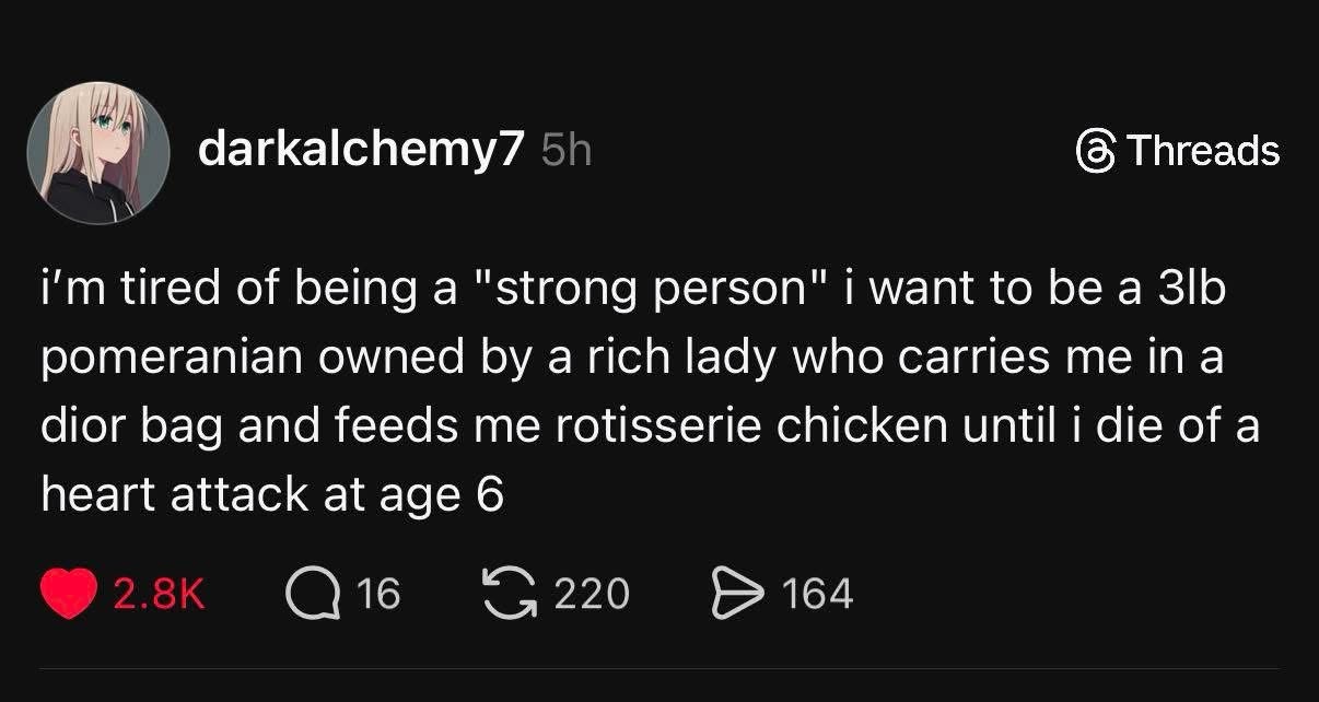 I'm over being a strong person, I just want to be a spoiled pomeranian living the dream