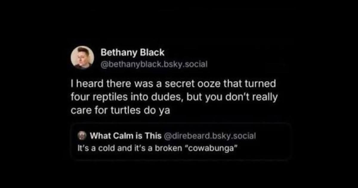 When you realize the Teenage Mutant Ninja Turtles origin story isn't as cool as you thought