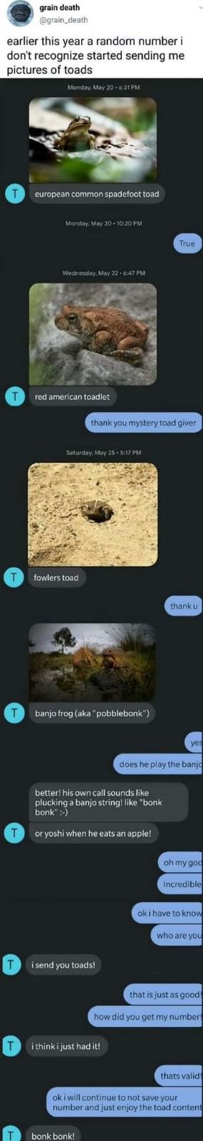 When a random number starts sending you pics of your new favorite artist: The Toad.