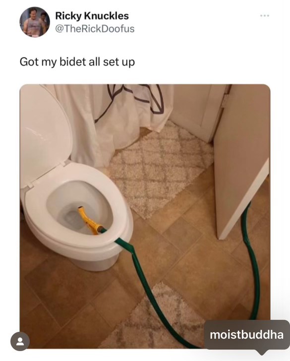 This is not how you set up a bidet, my dude.