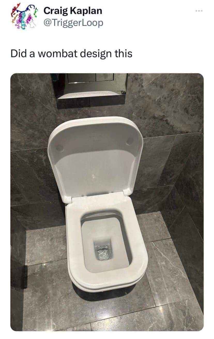 I think this toilet was designed by a wombat lol