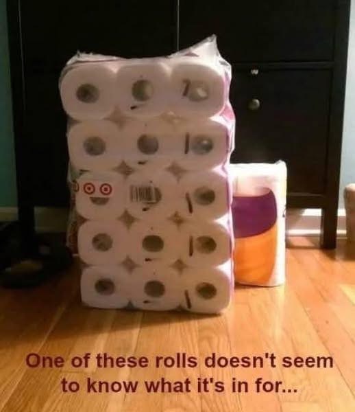 this one roll is just vibing, completely unaware of its ultimate fate