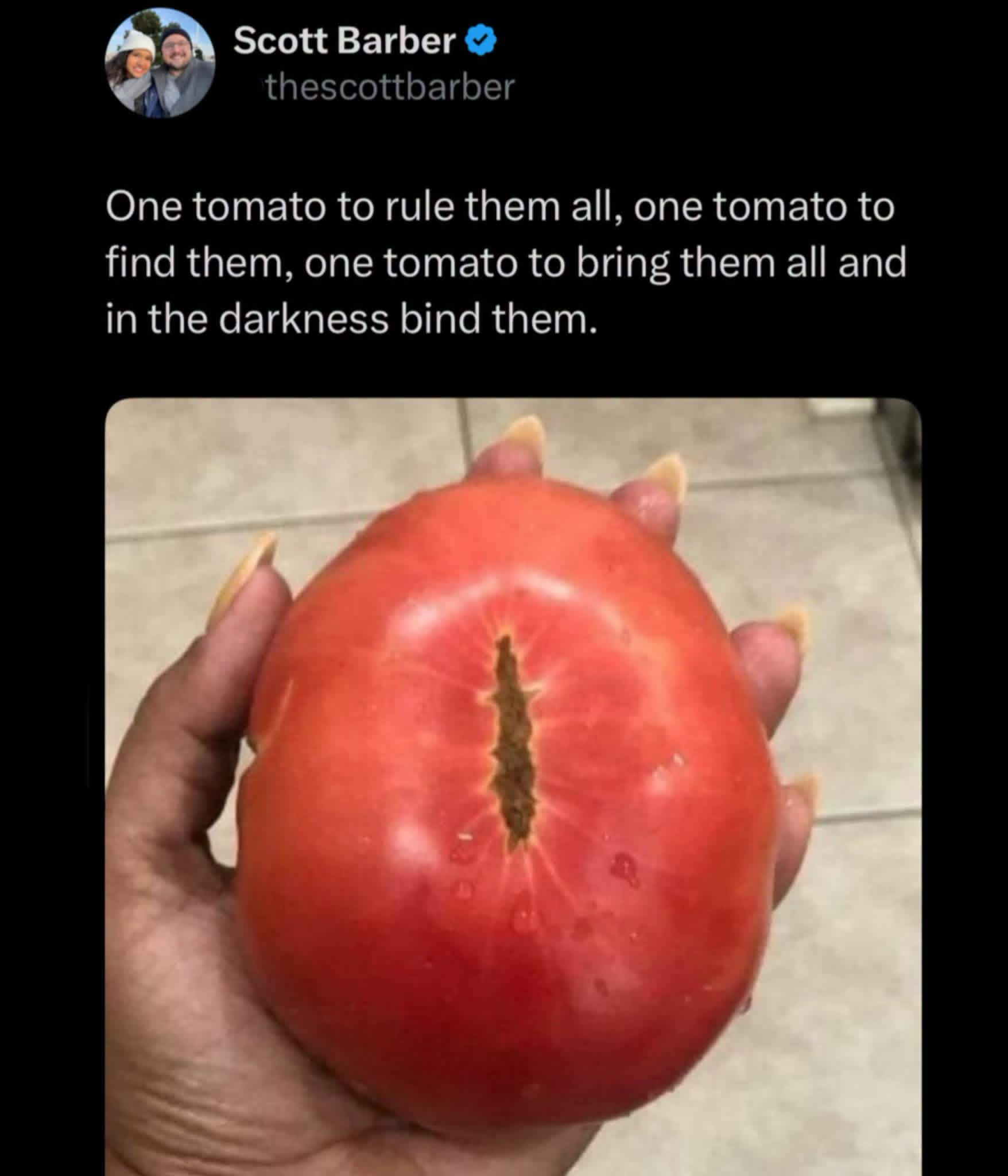 Pretty sure this tomato is trying to tell me something about my future. Or maybe just about my dinner plans.