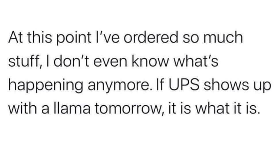 Me after realizing I've ordered so much stuff that I wouldn't even be surprised if UPS delivered a llama.