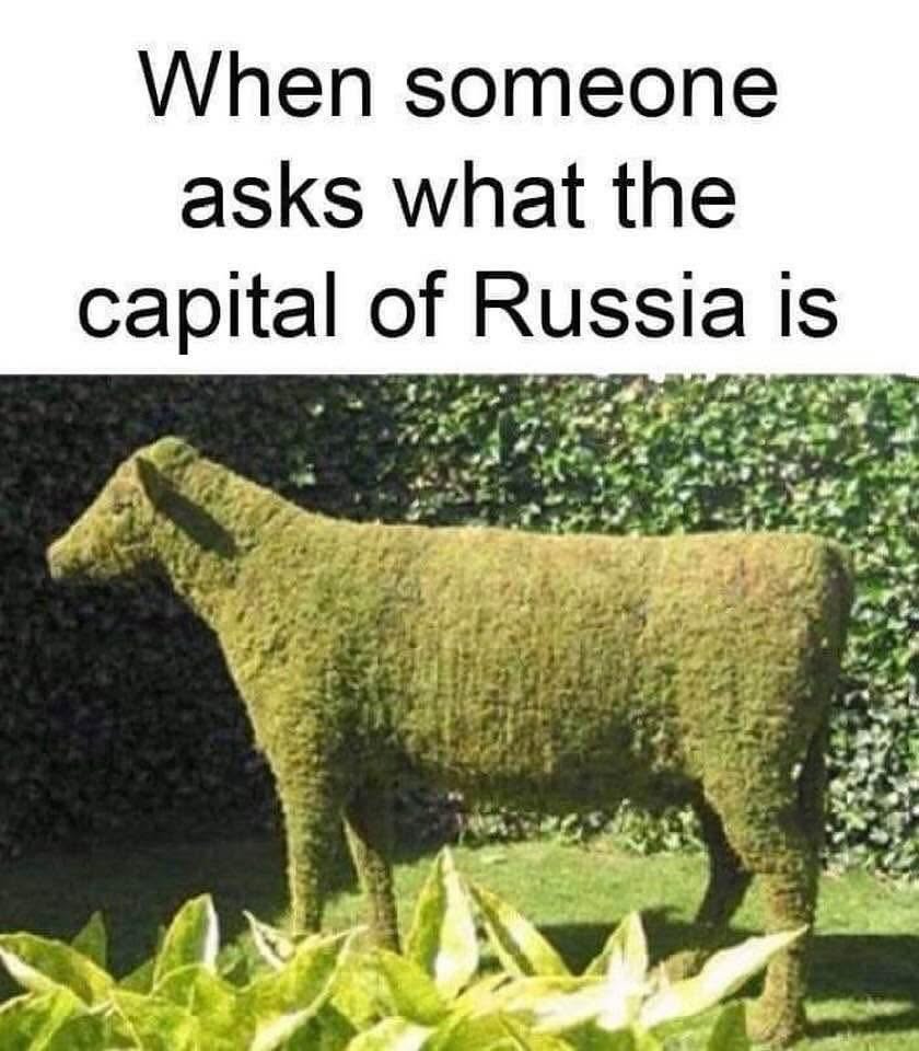 Me trying to remember anything I learned in geography class
