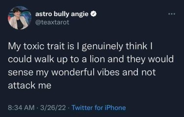 My toxic trait is thinking I could just vibe check a lion and it would be fine.