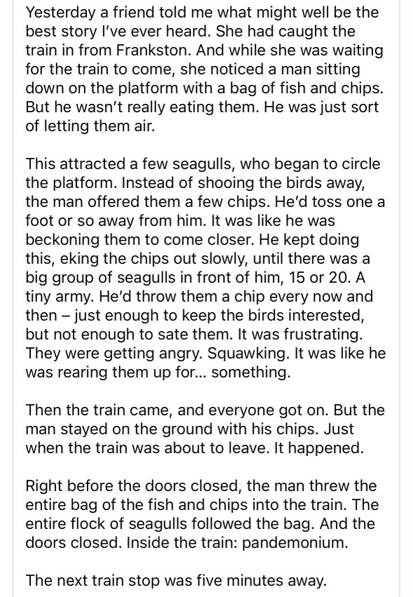 LMAO this dude threw his fish and chips onto the train and brought a whole seagull army with him