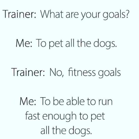 My fitness goals are to be able to run fast enough to pet all the dogs.