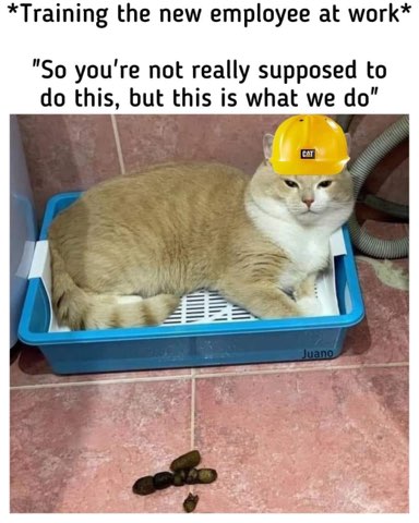 Me training the new guy to skirt the rules