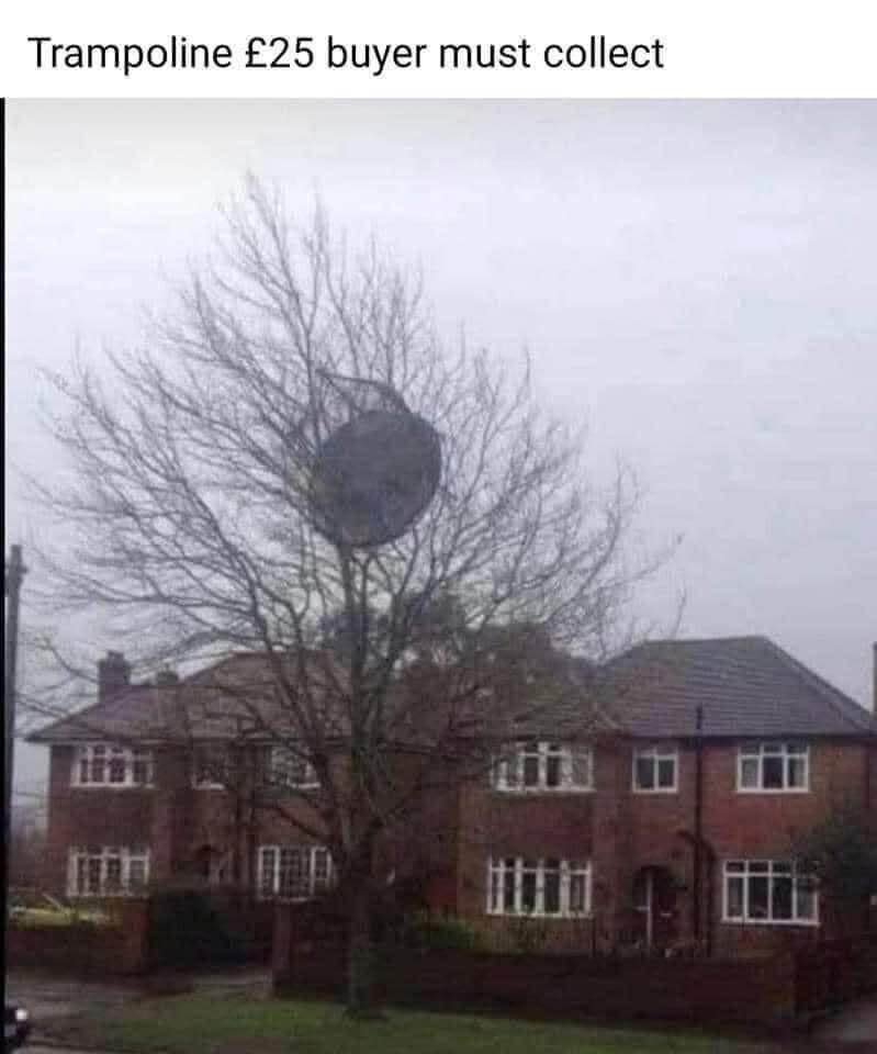 Pretty sure the buyer will have to bring a ladder for this trampoline pickup