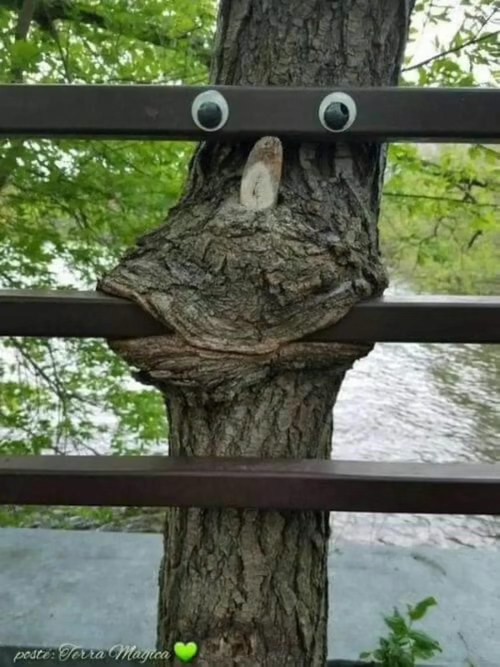 When you're trying way too hard to blend in