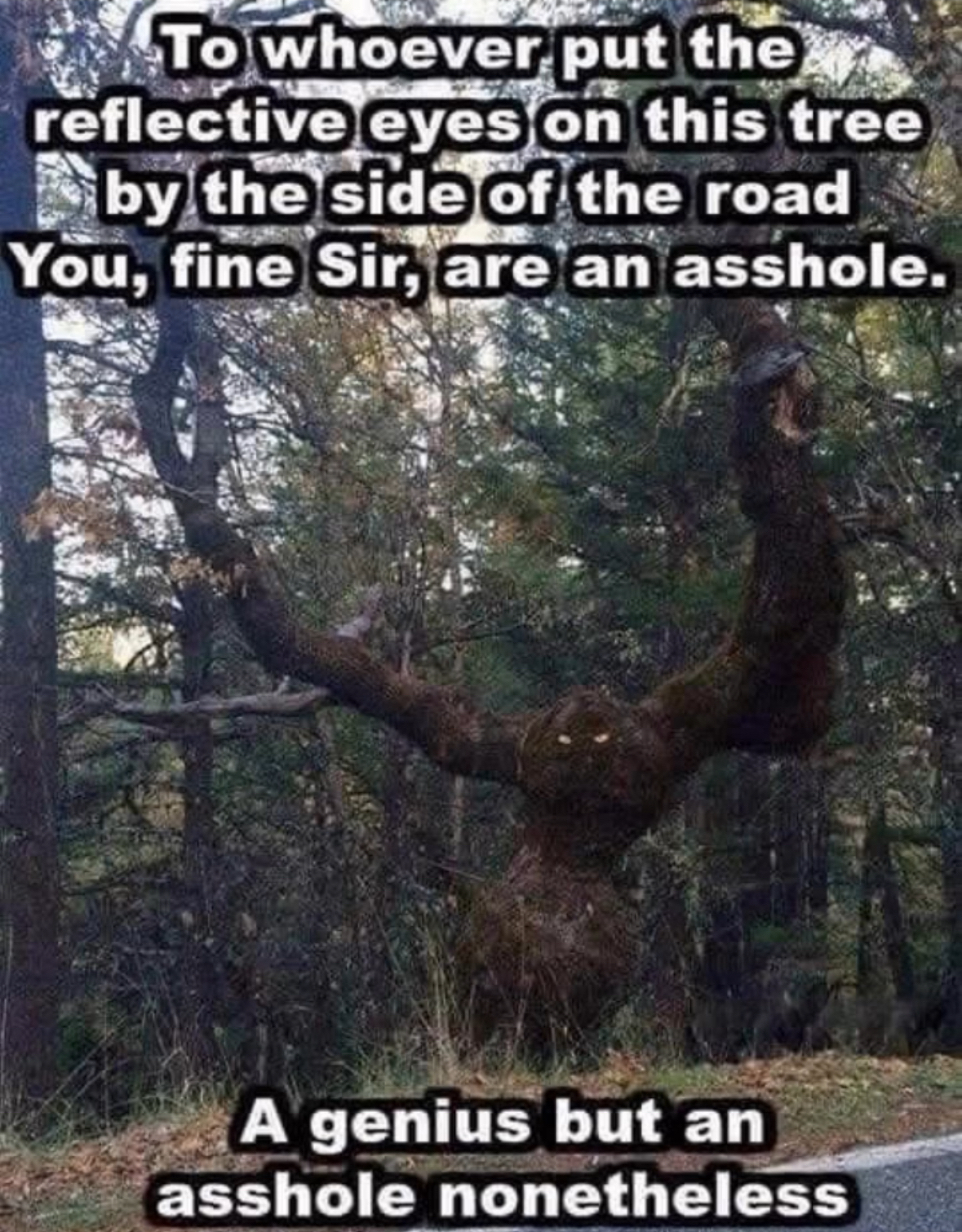 That tree with the glowing eyes is both genius and a total jerk