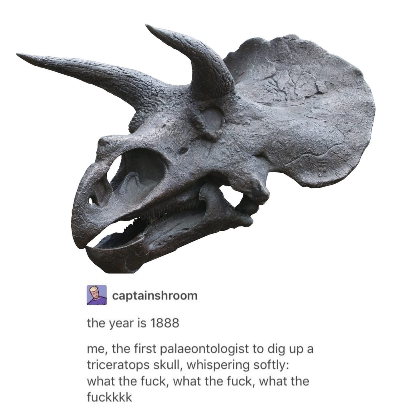 Imagine being the first person to ever see a triceratops skull and just being like 'wtf is this thing'