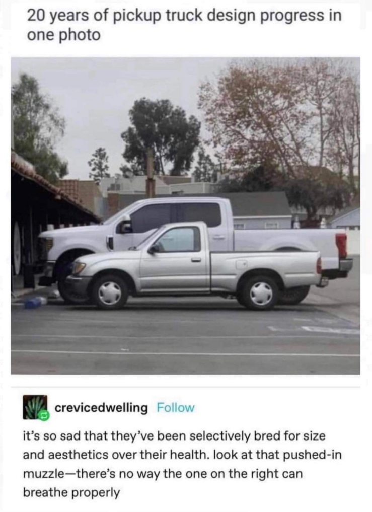 These trucks look like a normal truck is being suffocated by a giant truck.