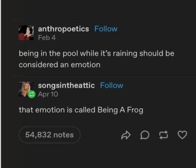 When you're in the pool and it starts raining, you're basically a frog. It's an emotion.