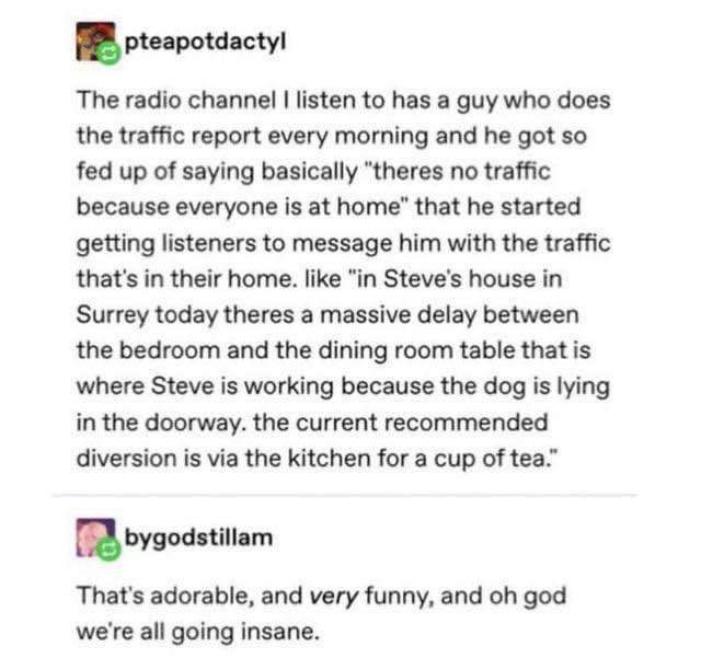 This traffic reporter is taking listener submissions for home traffic jams, and honestly, we're all losing it.