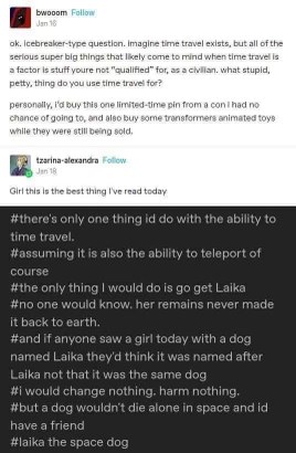 OMG imagine time traveling just to save Laika the space dog so she wouldn't die alone!! 😭