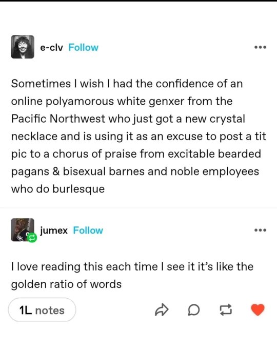 The chaotic good energy of this Tumblr post is something I aspire to