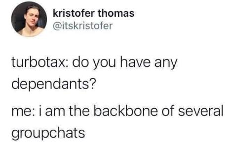 When turbotax asks if you have dependants but you're the main organizer of all your group chats