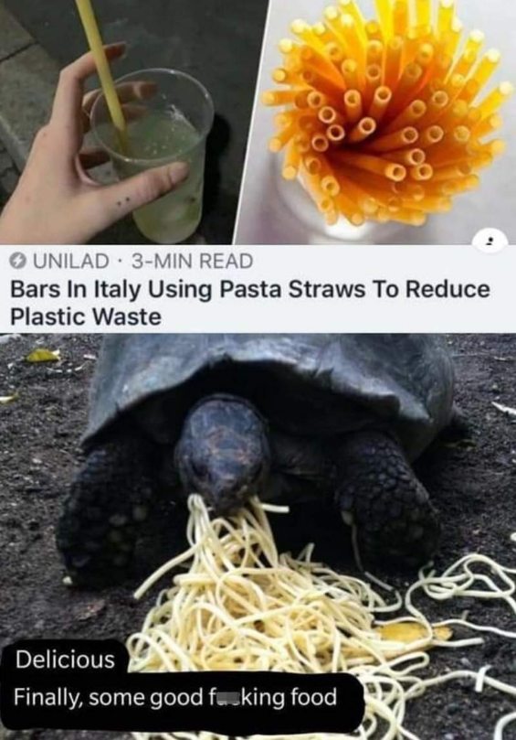 Imagine using pasta as straws and then eating them. This turtle gets it.