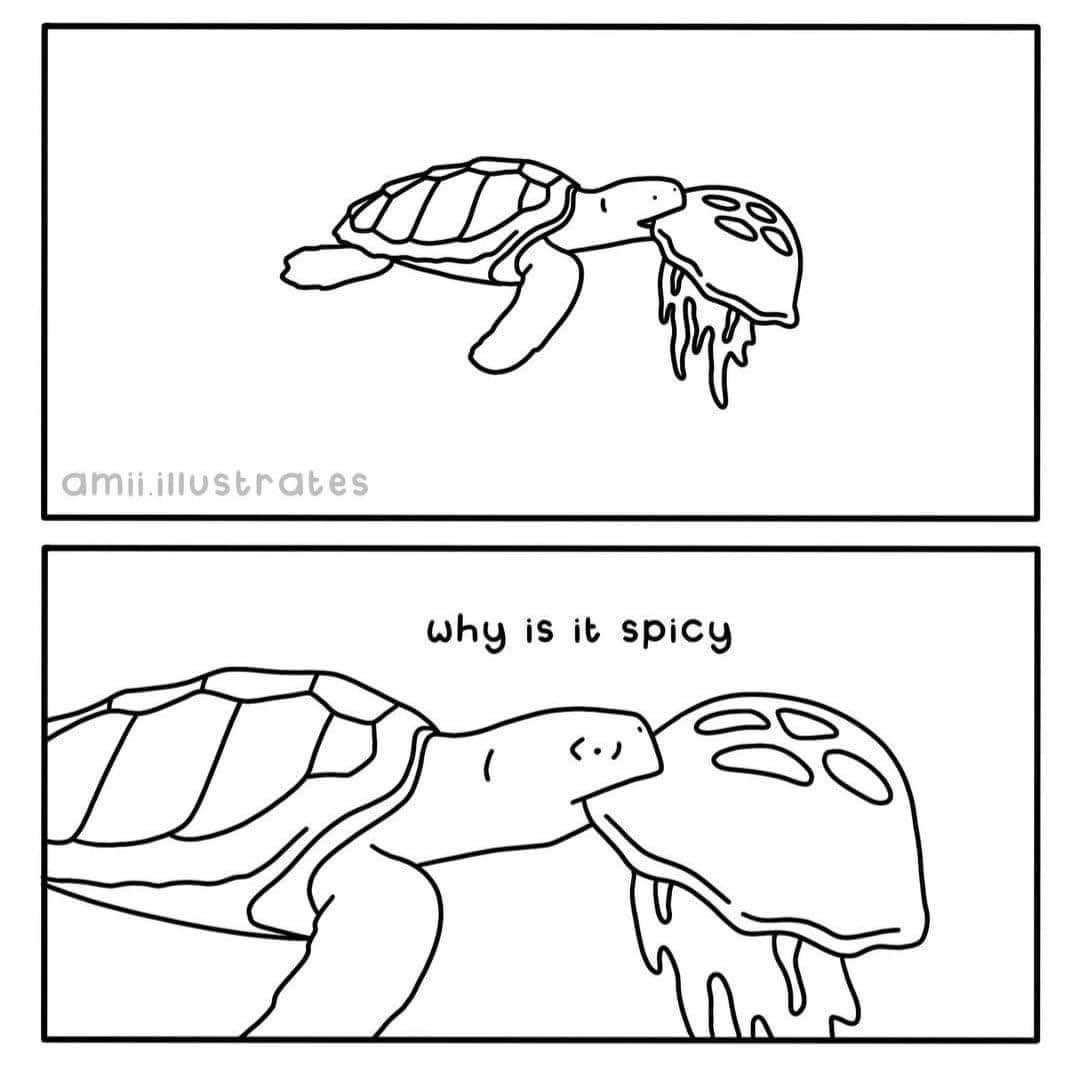 Turtle tries to eat a jellyfish and is surprised by the sting.  I feel that.